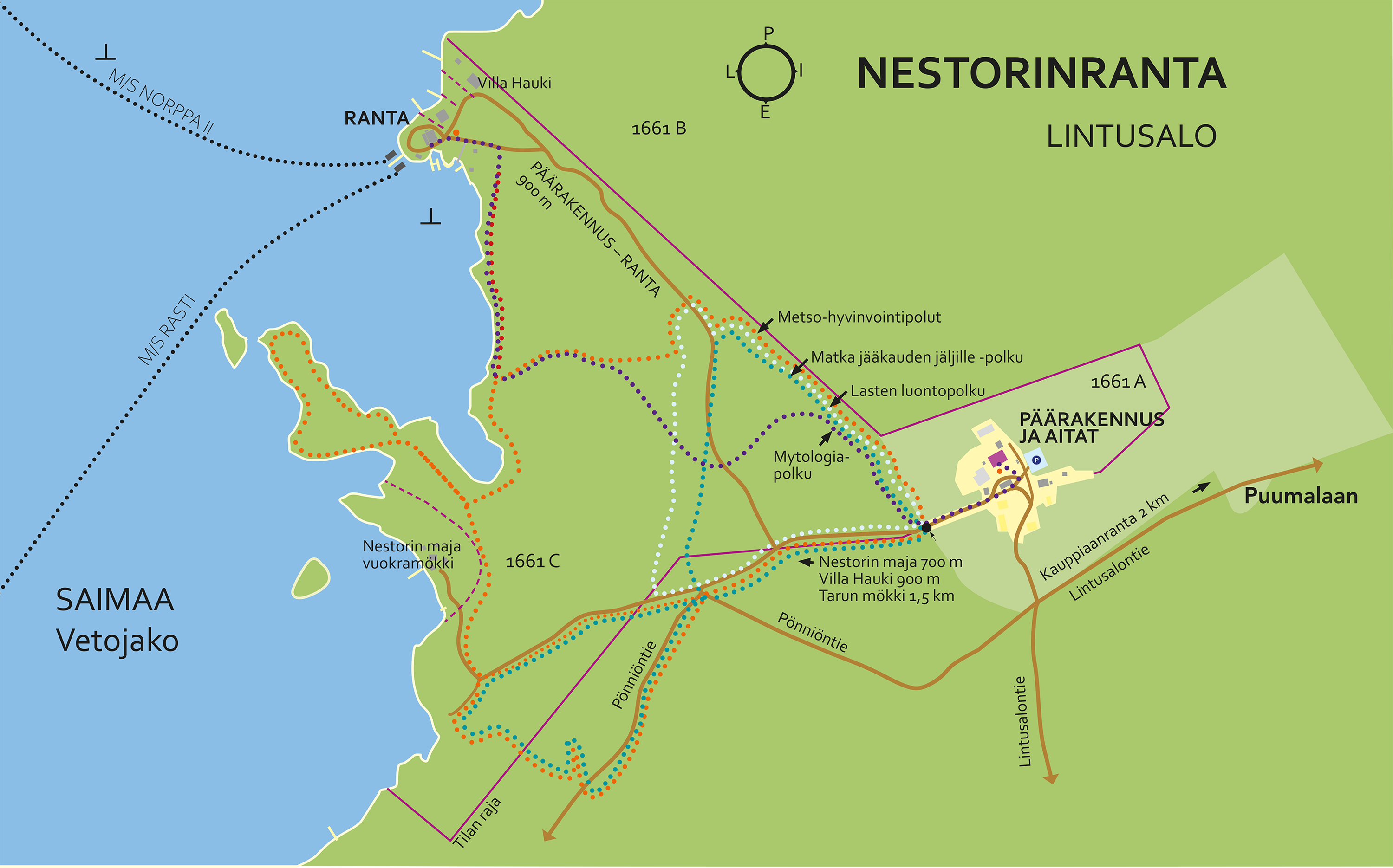 Nestorinrannan Metso- ja teemapolut | Visit Puumala